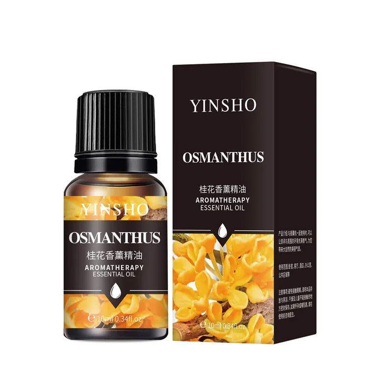 17 Saveurs en 10 ml : Huiles Essentielles pour Diffuseur – Pour une Ambiance Parfaite à Domicile